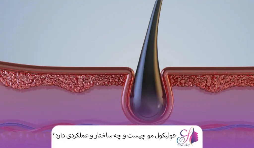 فولیکول مو چیست و چه ساختار و عملکردی دارد؟